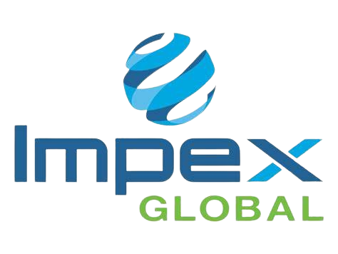 maths impex global-logo